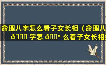 命理八字怎么看子女长相（命理八 🐎 字怎 🐺 么看子女长相好不好）